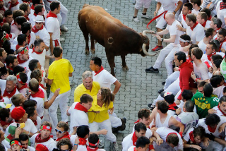 Illustration for article titled Where's Rex? Photos Of A Terrified Rex Ryan Running With The Bulls